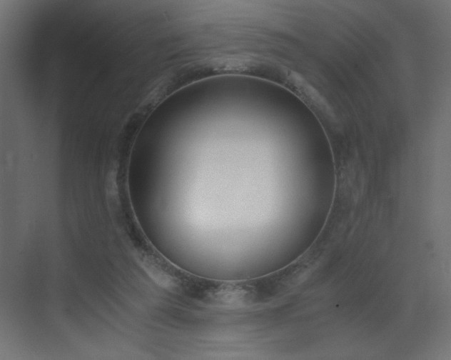 X0000073450209200607281229