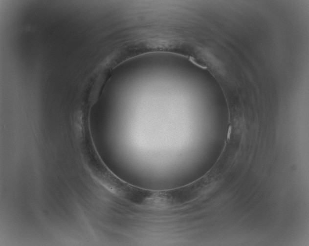 X0000073450211200607281229