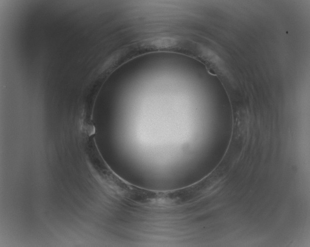 X0000073450212200607281229