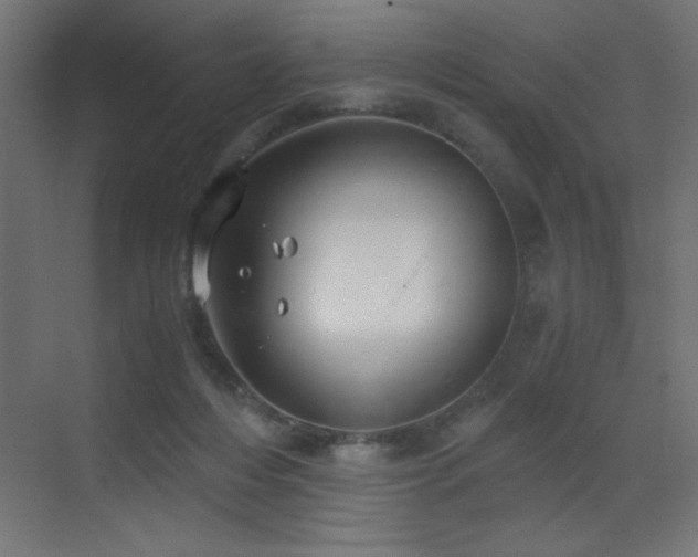 X0000073450216200607281229