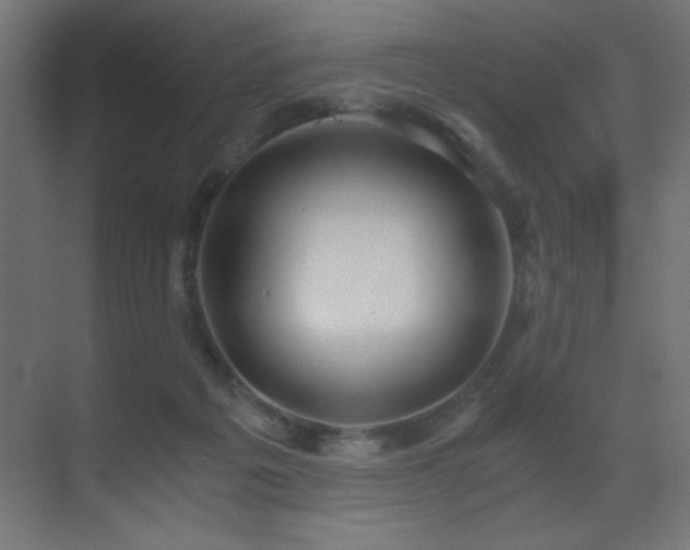 X0000073450217200607281229