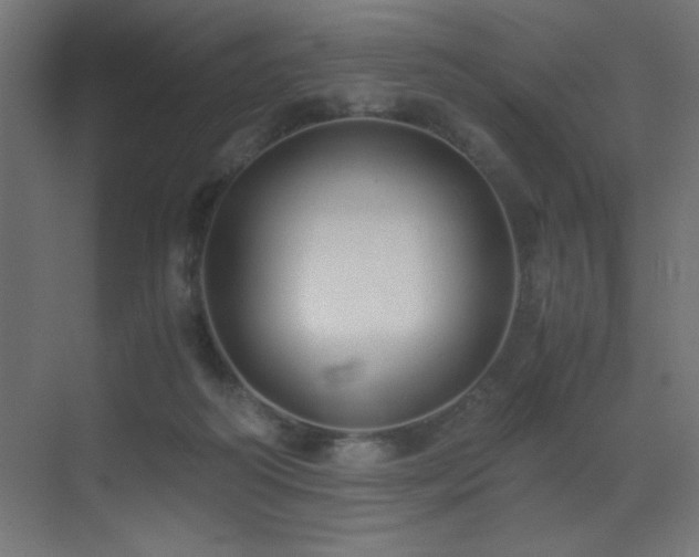 X0000073450218200607281229