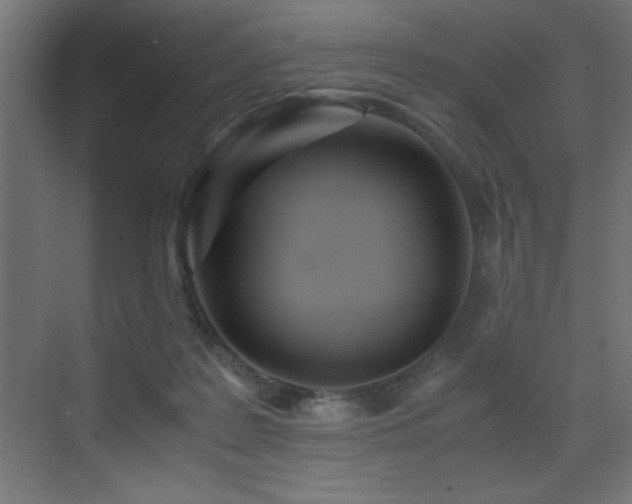 X0000073450219200607281229