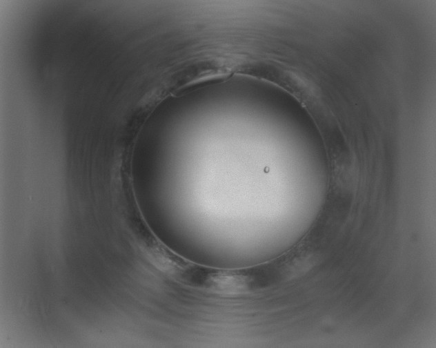 X0000073450221200607281229