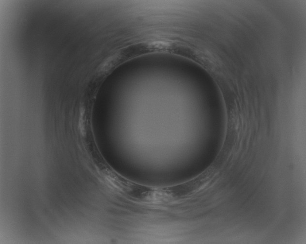 X0000073450223200607281229