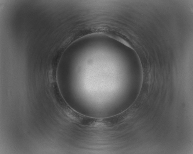 X0000073450224200607281229