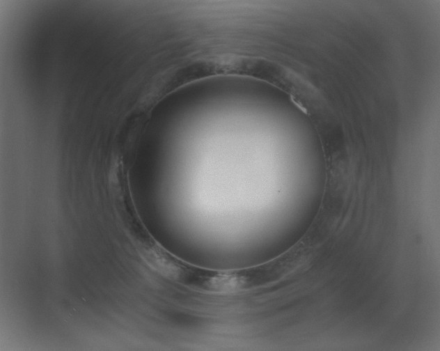 X0000073450225200607281229