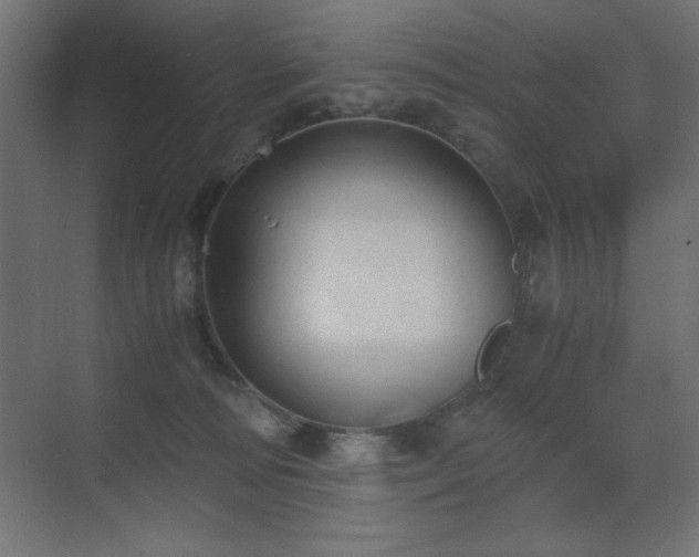 X0000073450226200607281229