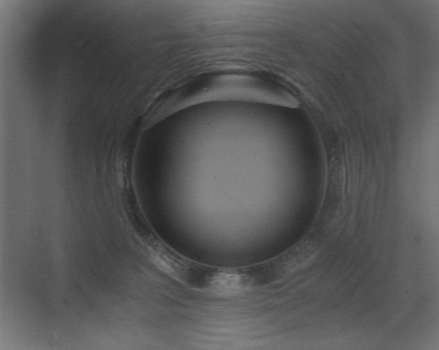 X0000073450227200607281229