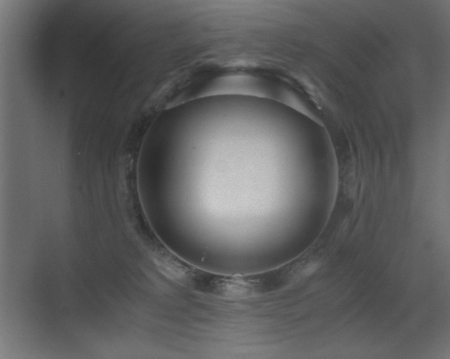 X0000073450229200607281229