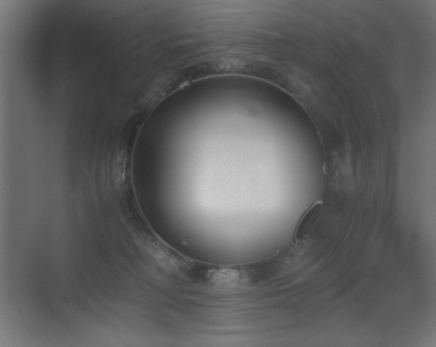 X0000073450230200607281229