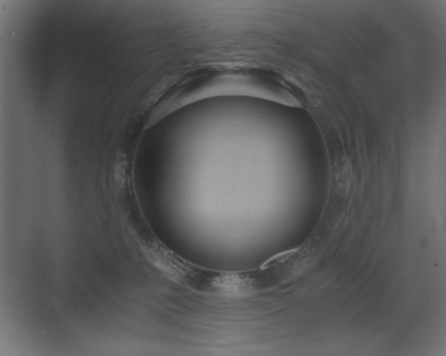 X0000073450231200607281229