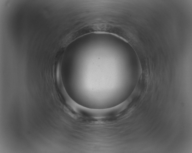 X0000073450233200607281229