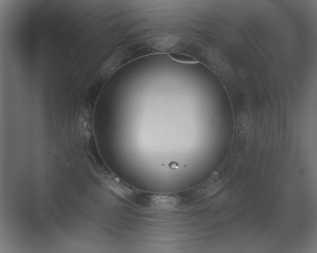 X0000073450234200607281229