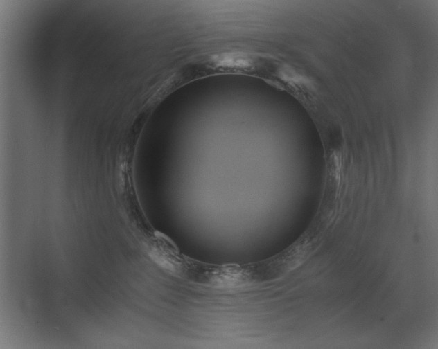 X0000073450235200607281229