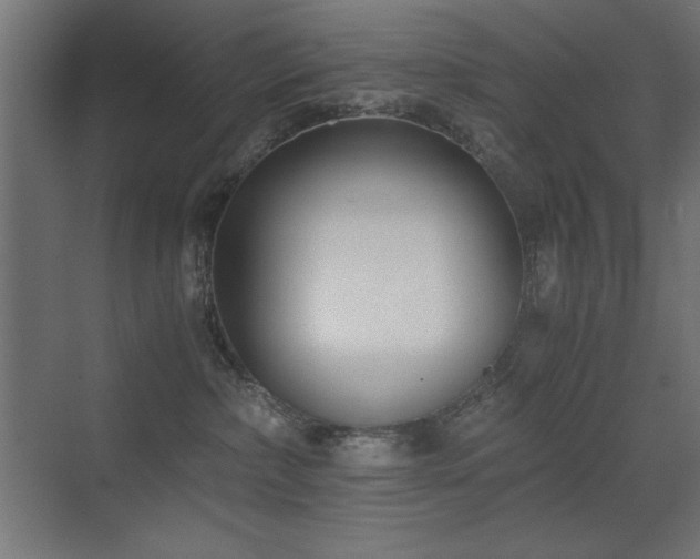 X0000073450236200607281229