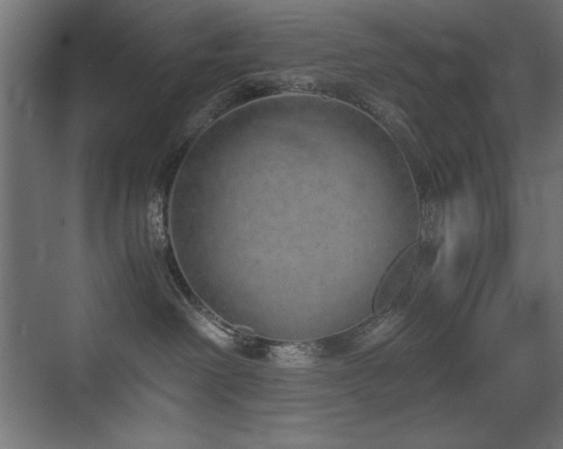 X0000073450238200607281229