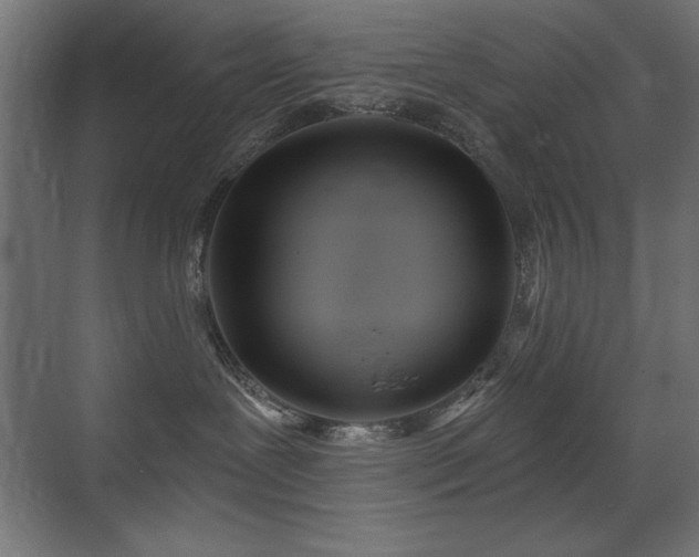 X0000073450239200607281229