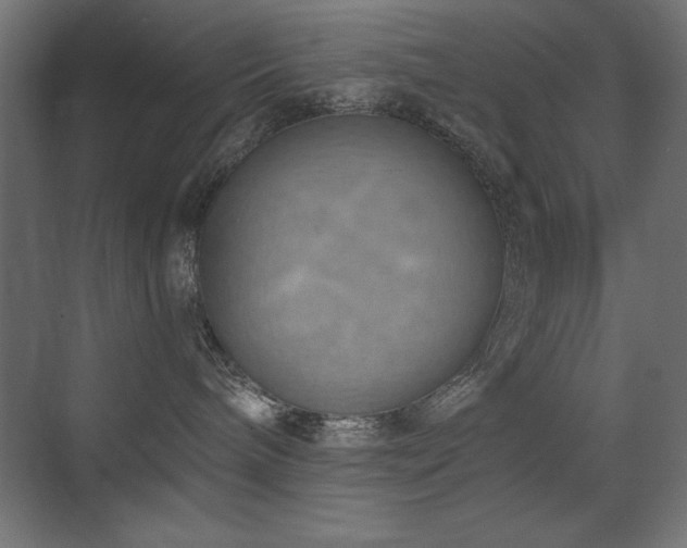 X0000073450240200607281229