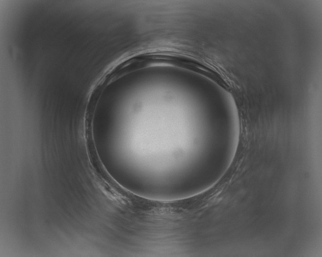 X0000073450244200607281228