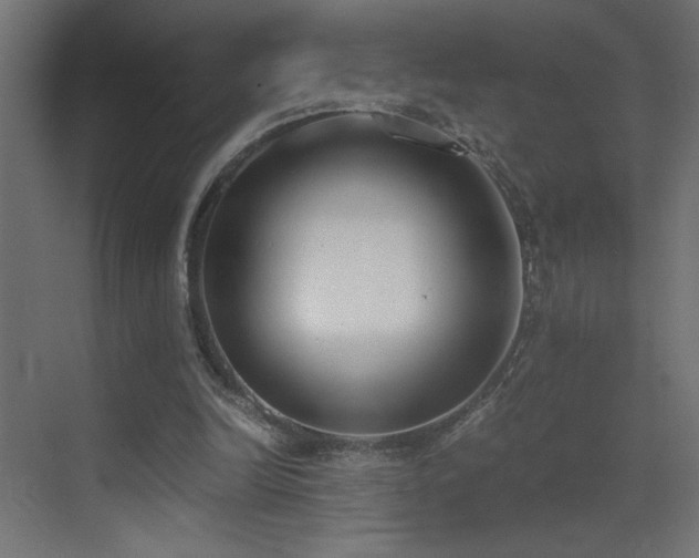 X0000073450246200607281228