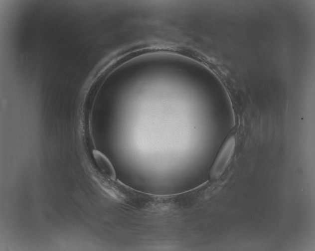 X0000073450247200607281228