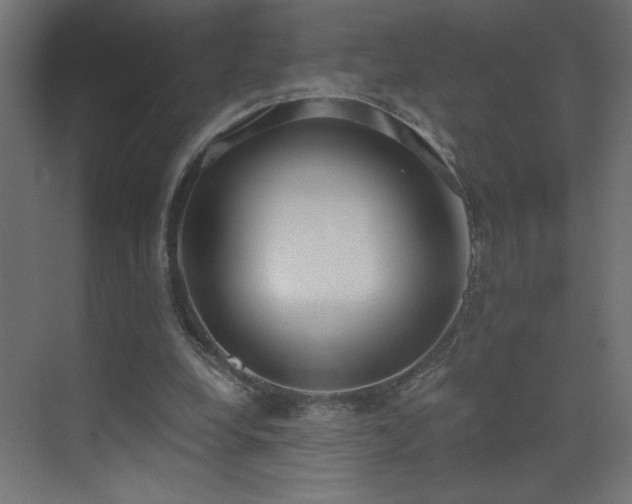 X0000073450248200607281228