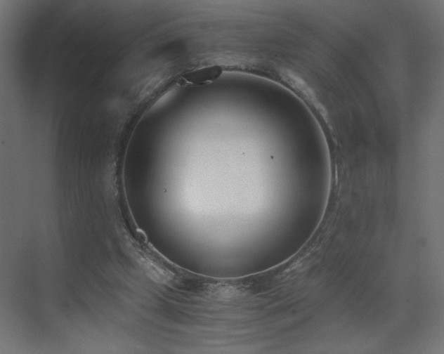 X0000073450249200607281228