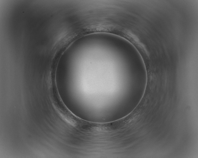 X0000073450250200607281228