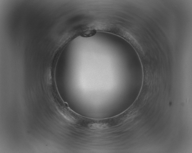 X0000073450251200607281228