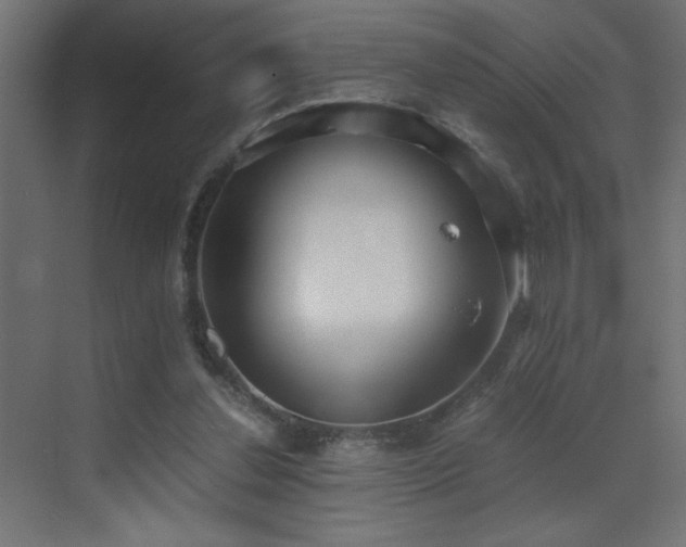 X0000073450252200607281228