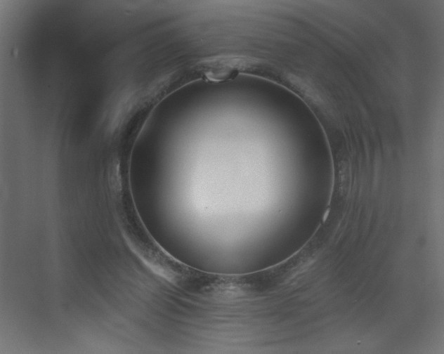 X0000073450254200607281228