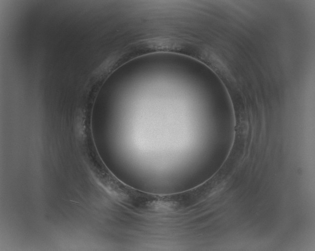 X0000073450255200607281228