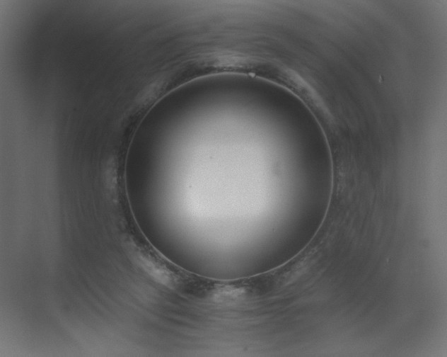 X0000073450257200607281228