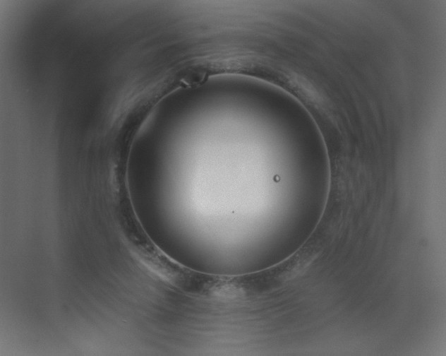 X0000073450258200607281228