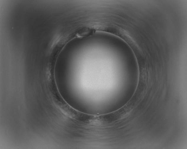 X0000073450259200607281228