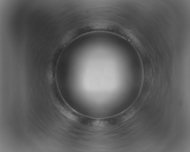 X0000073450261200607281228