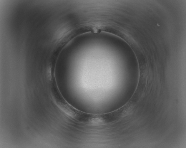 X0000073450262200607281228