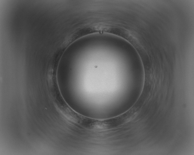 X0000073450263200607281228