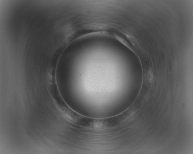 X0000073450264200607281228