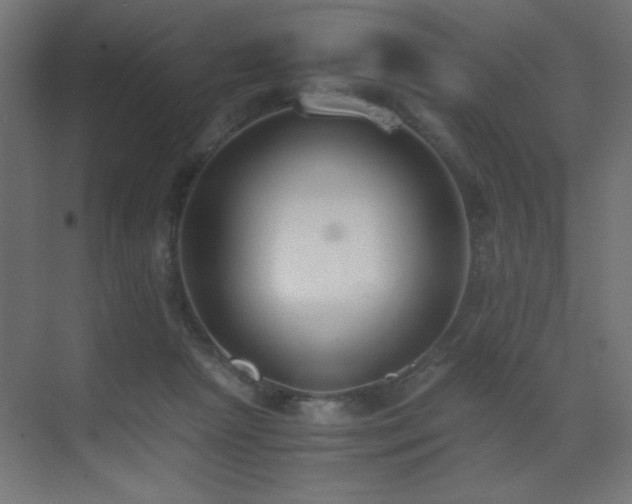 X0000073450265200607281229