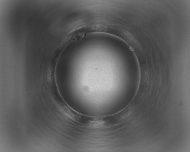 X0000073450266200607281229