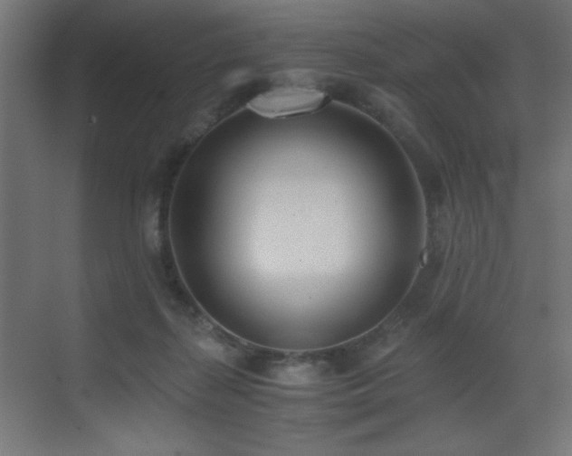 X0000073450267200607281229