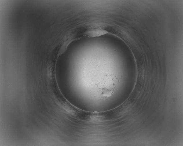 X0000073450268200607281229