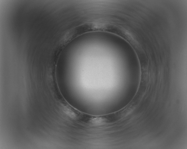 X0000073450269200607281229