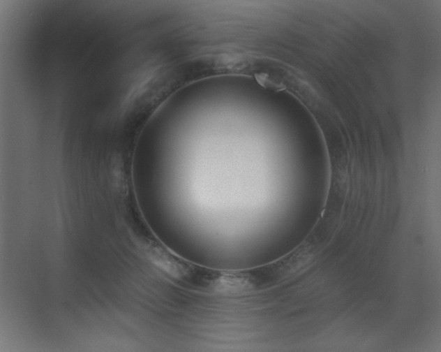 X0000073450270200607281229