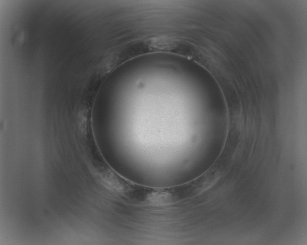 X0000073450271200607281229