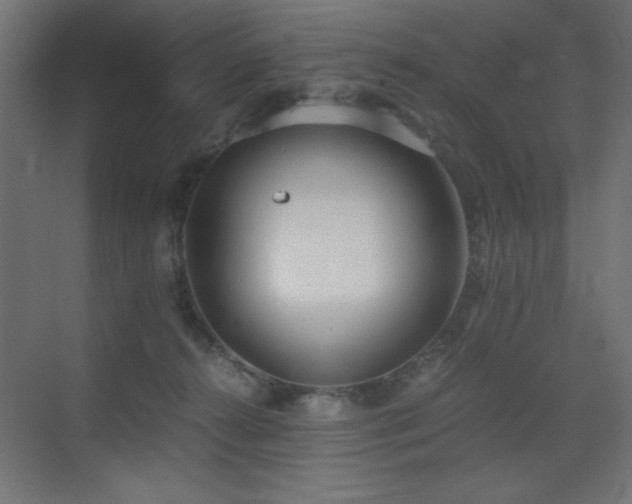 X0000073450272200607281229