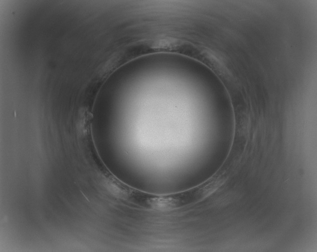 X0000073450273200607281229