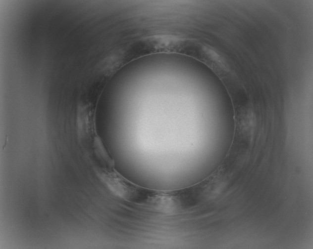 X0000073450276200607281229